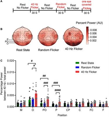 40 Hz Light Flicker Alters Human Brain Electroencephalography Microstates and Complexity Implicated in Brain Diseases